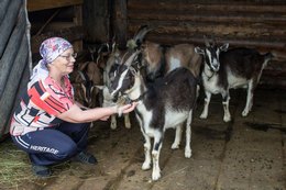 Козы – главная забота Ольги Шароглазовой